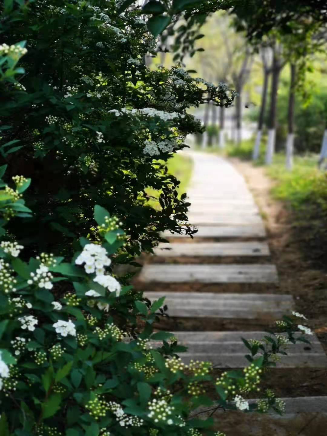 威廉希尔足球官网