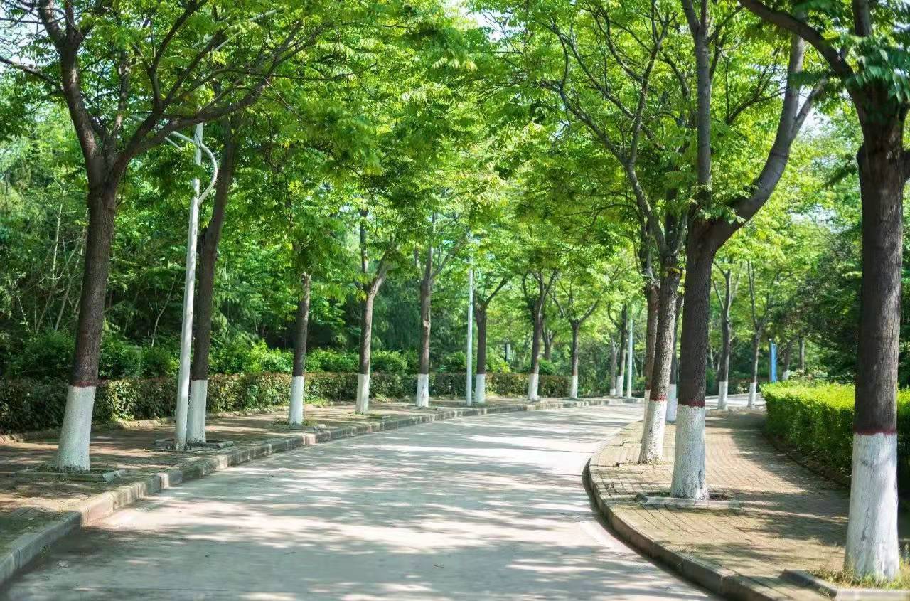 威廉希尔足球官网