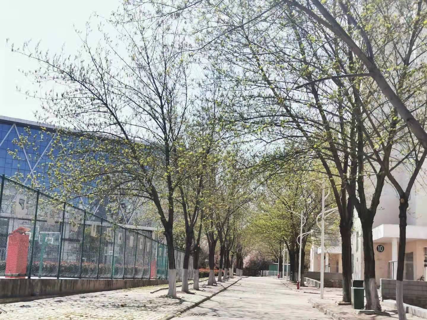 威廉希尔足球官网