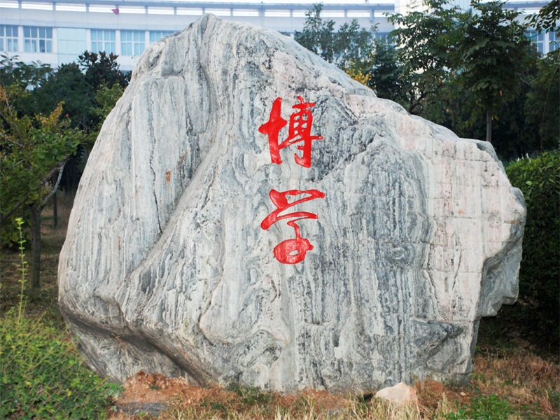 威廉希尔足球官网