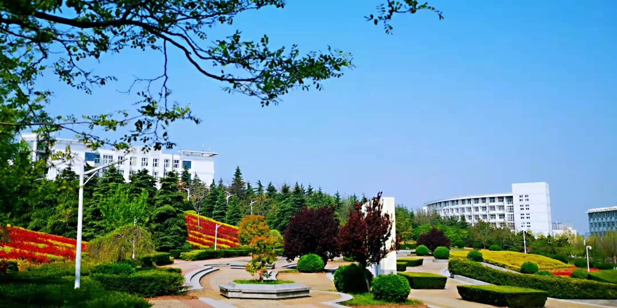 威廉希尔足球官网