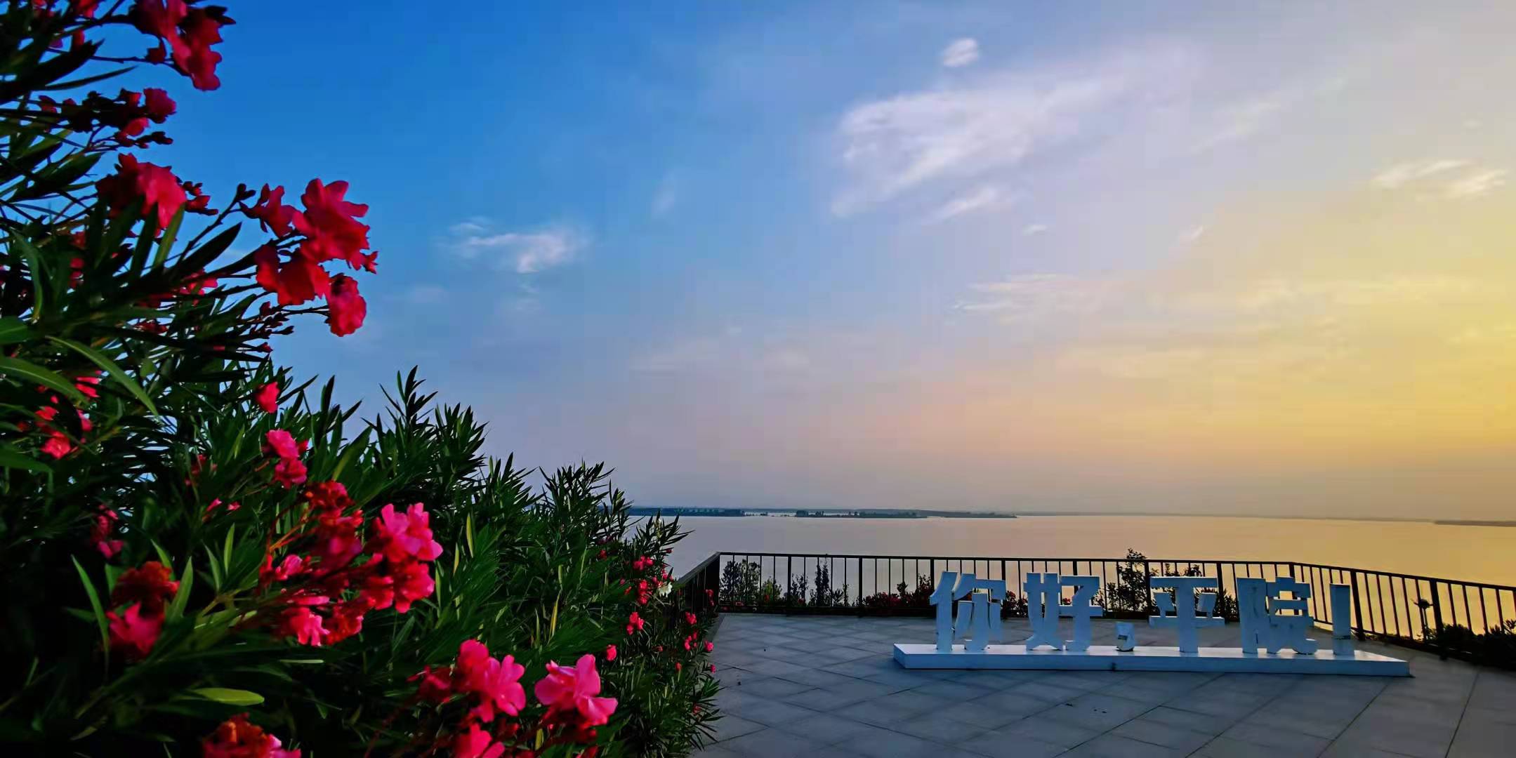 威廉希尔足球官网